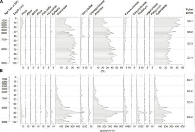 Holocene vegetational and climatic history of the Xuguo Co catchment in the central Tibetan Plateau